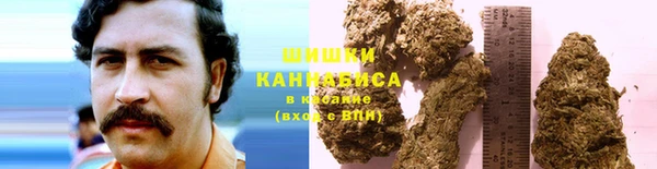 PSILOCYBIN Медногорск