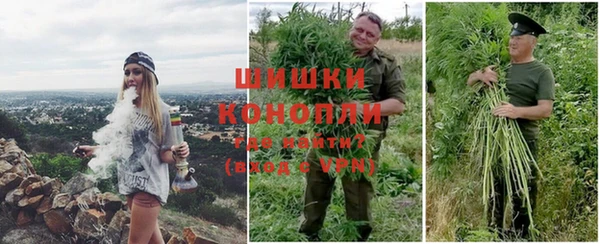 PSILOCYBIN Медногорск