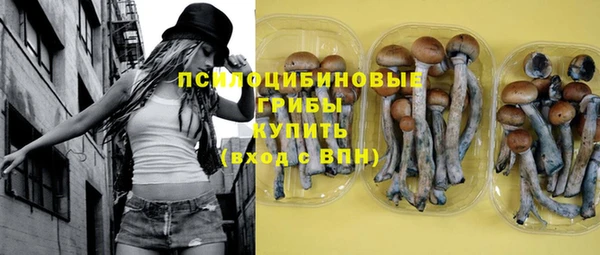 PSILOCYBIN Медногорск