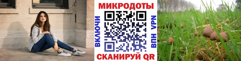 Галлюциногенные грибы Psilocybe Мглин