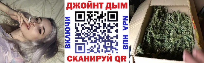 Купить где  Мглин  Марихуана сатива 